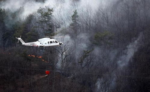 韩国山火肆虐：灾难中的救援与反思