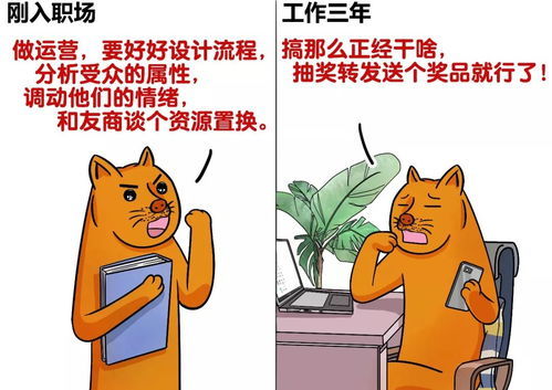 三只羊整改背后：2777.85万元赔付的真相与反思