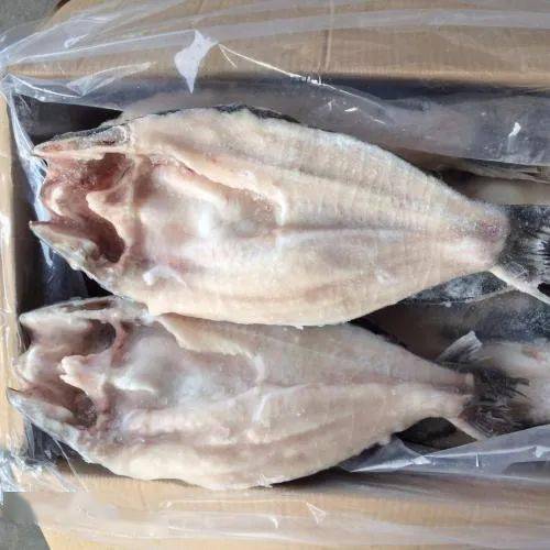 卖不合格鱼生被罚5万？广东商家维权之路大反转