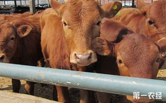 从吹牛到成功：一个普通人的真实逆袭故事