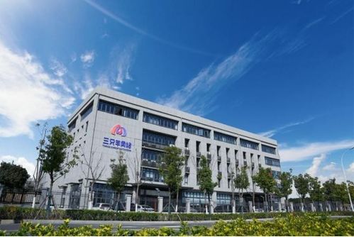 三只羊公司恢复经营：从风波到重生，背后的故事