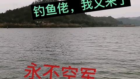 永不空军的钓鱼佬：一场关于网络监管与孩子安全的深刻反思