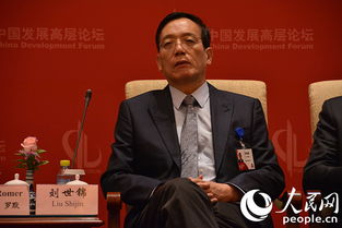 李泽楷出席中国发展高层论坛：民营经济的未来与机遇