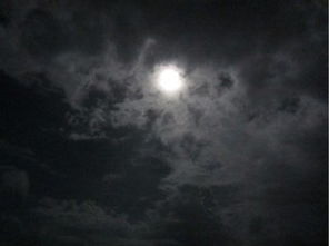 那个月黑风高的晚上：一个网文作者的创作之路