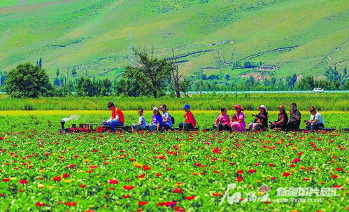 春日旅游正当时，新场景激发消费活力
