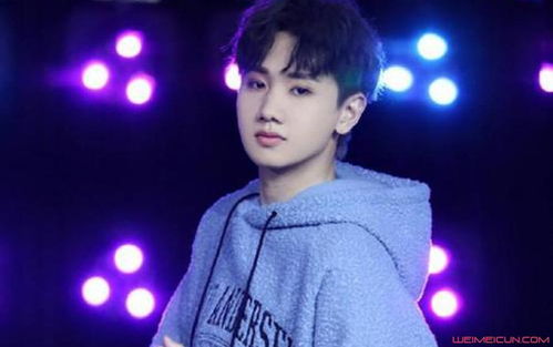 汪苏泷演唱会取消背后：温以凡的意外现身与粉丝们的遗憾