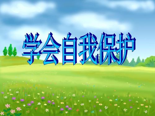 当我学会保护自己：一场关于爱与成长的心灵旅程