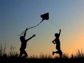 被沉默埋葬的生活——读《追风筝的人》有感