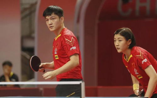 樊振东退出世界排名的背后：个人选择与WTT规则的碰撞