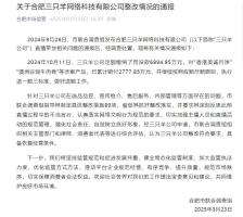 合肥三只羊公司事件深度解析：从虚假宣传到巨额罚款