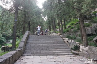 四人行之登山：一次难忘的自然探险