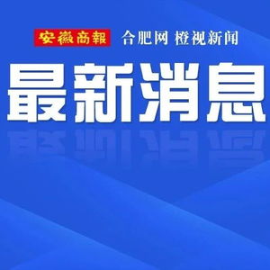 三只羊公司停业整改背后的真相与反思