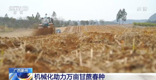 春耕里的科技奇迹：我见证的中国农业新篇章