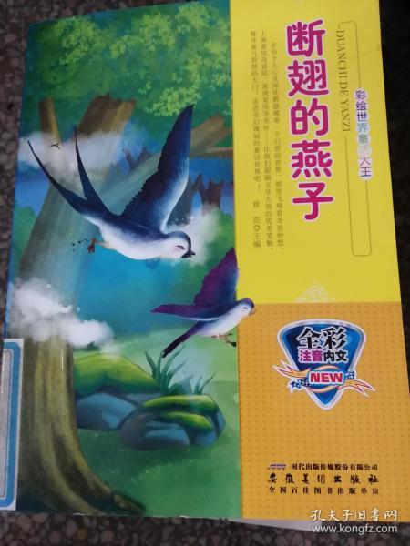 断翅之燕：我与那只受伤灵魂的邂逅