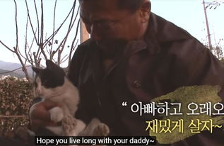 古埃及房子着火要先救猫：一场跨越千年的宠物救援文化