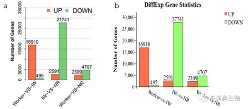 从零开始：将转录组SRR数据组装为FASTA文件的个人实战记录