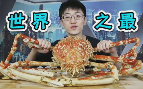 深度解析：美食博主大祥哥自曝投资被骗千万，背后真相竟是这样！