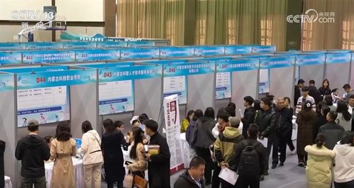 春招现场：人才与产业的双向奔赴