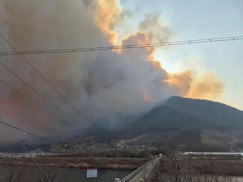 韩国多地进入灾难状态，危机四伏的山火与疫情