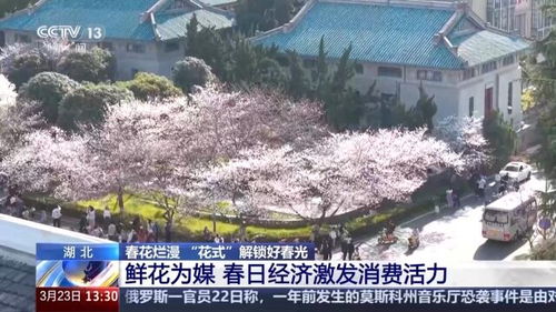 春日赏花经济，如何助力乡村振兴？