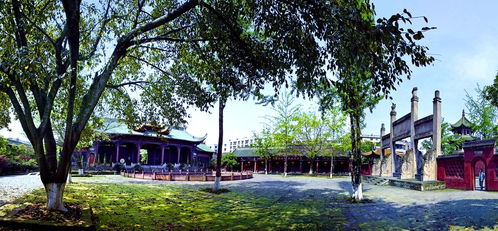 文化中国行：在春天里感受祖国大地的无限美好