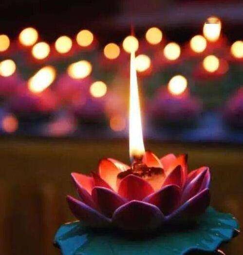 信任如同一盏明灯，照亮前行的路