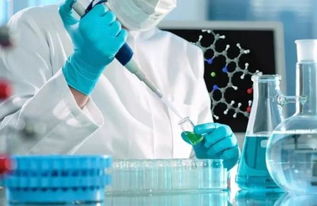 科研“救星”降临：抗体组合申领，破局实验困境