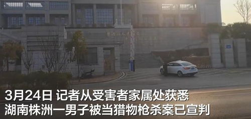 男子被当猎物枪杀案：真相与反思