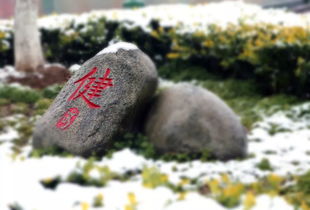 无与伦比的随笔：他用文字记录了生活的真谛