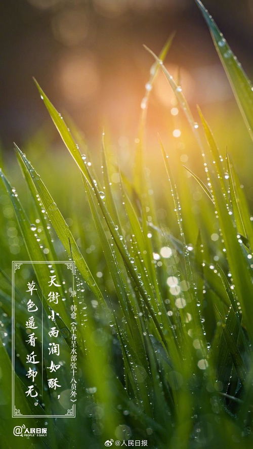 春天的氛围感：在诗意中感受春日的美好