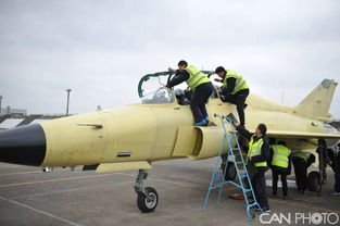 飞行日：在蓝天中书写梦想的日记