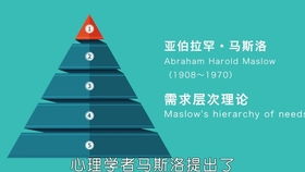 Day318｜驱动人类行为的三大力量：从心理学视角解读