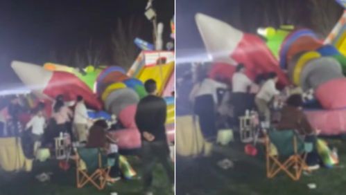 吉林一村闯入老虎，人虎共存的挑战与思考