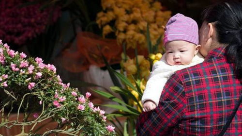 爸爸带娃公园采花被阻止后起冲突：一场关于规则与教育的思考