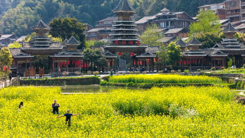 当中国古建邂逅春光：一场穿越千年的浪漫对话