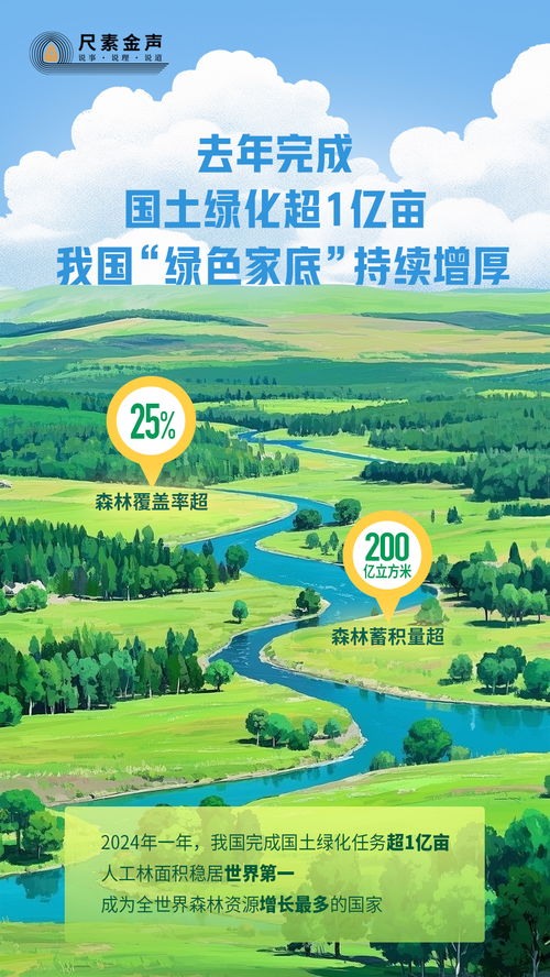 我国“绿色家底”持续增厚：从数据到行动的生态奇迹