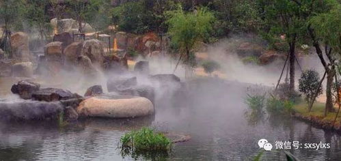 嵊州一日游：崇仁古镇的文化与历史之旅