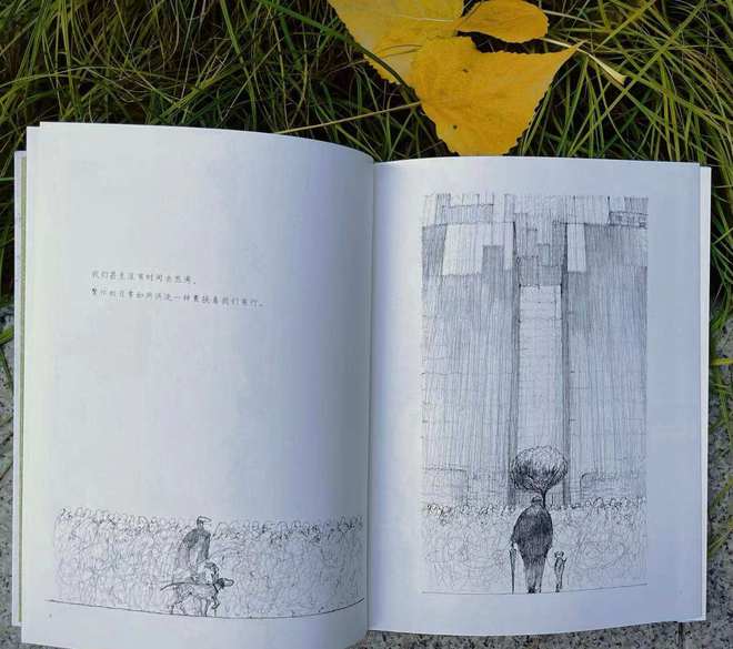 在无常中寻回生命的锚点：一次自我探寻的心灵旅程