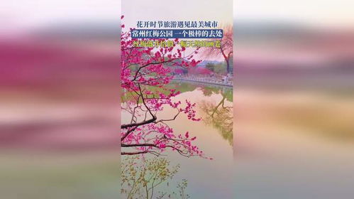 花开时节遇见最美城市