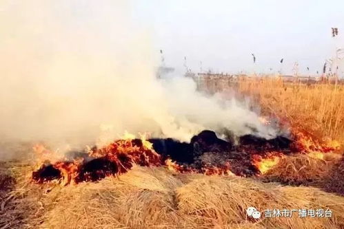 疑烧秸秆引发沈大高速多车追尾，真相究竟如何？