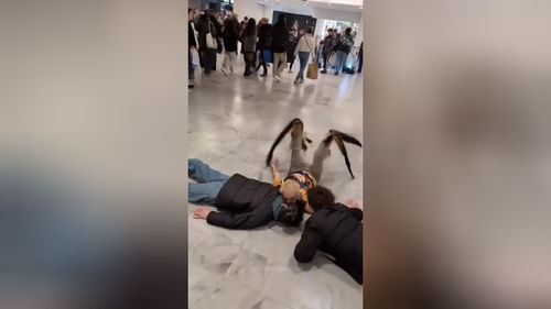 AI正在成为互联网的“毒瘤”？我亲历了这场技术风暴