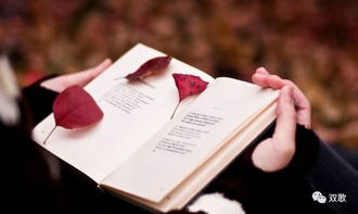 读书笔记56：一场与书本的深度对话