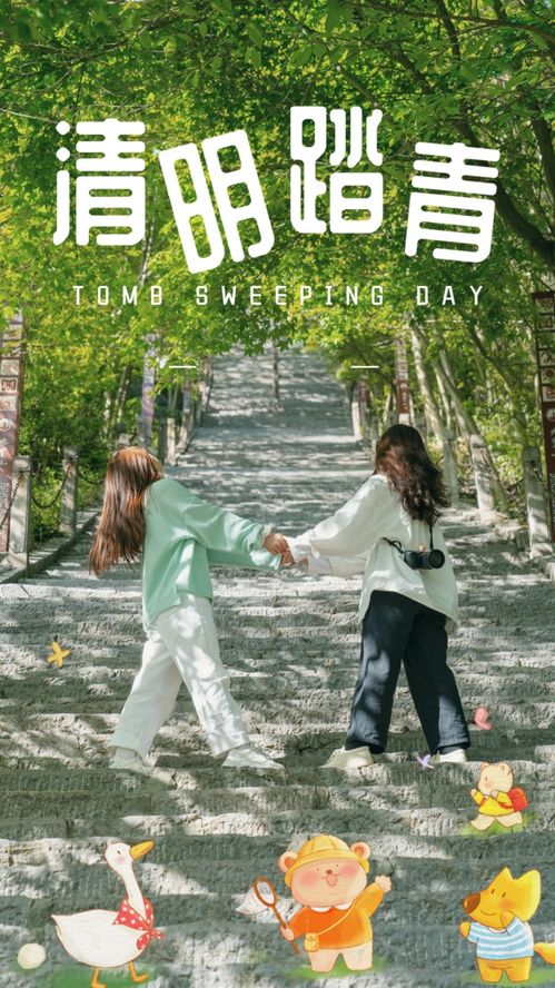 踏青遇：一场与春天的浪漫邂逅