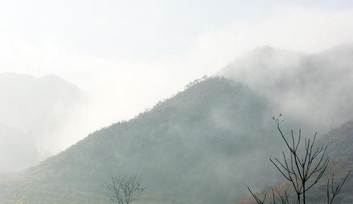 探寻刘秀与天梯沟的传奇故事