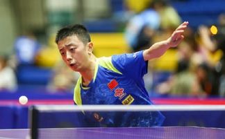 乒乓小将陈垣宇与蒯曼闪耀WTT马斯喀特站