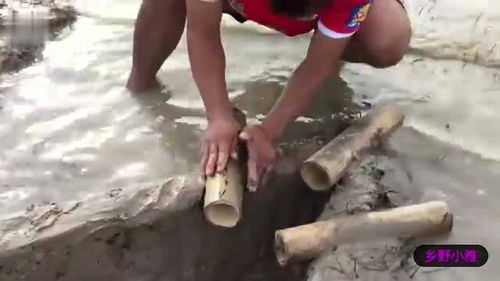 小伙自制捕鱼陷阱，轻松捕获大鱼的秘密武器