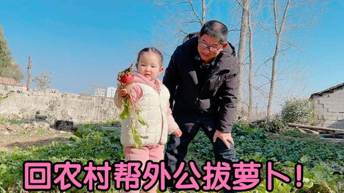 回到老家的那些日子