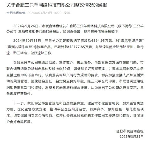 合肥市联合调查组：三只羊公司整改合格，恢复经营在即