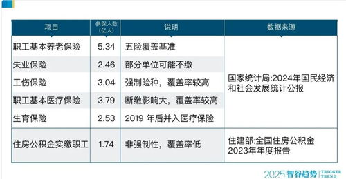社保覆盖真相：13.86亿人背后的故事