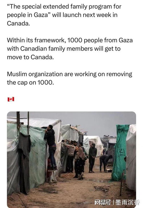 辟谣：日本宣布接收加沙难民？假消息！